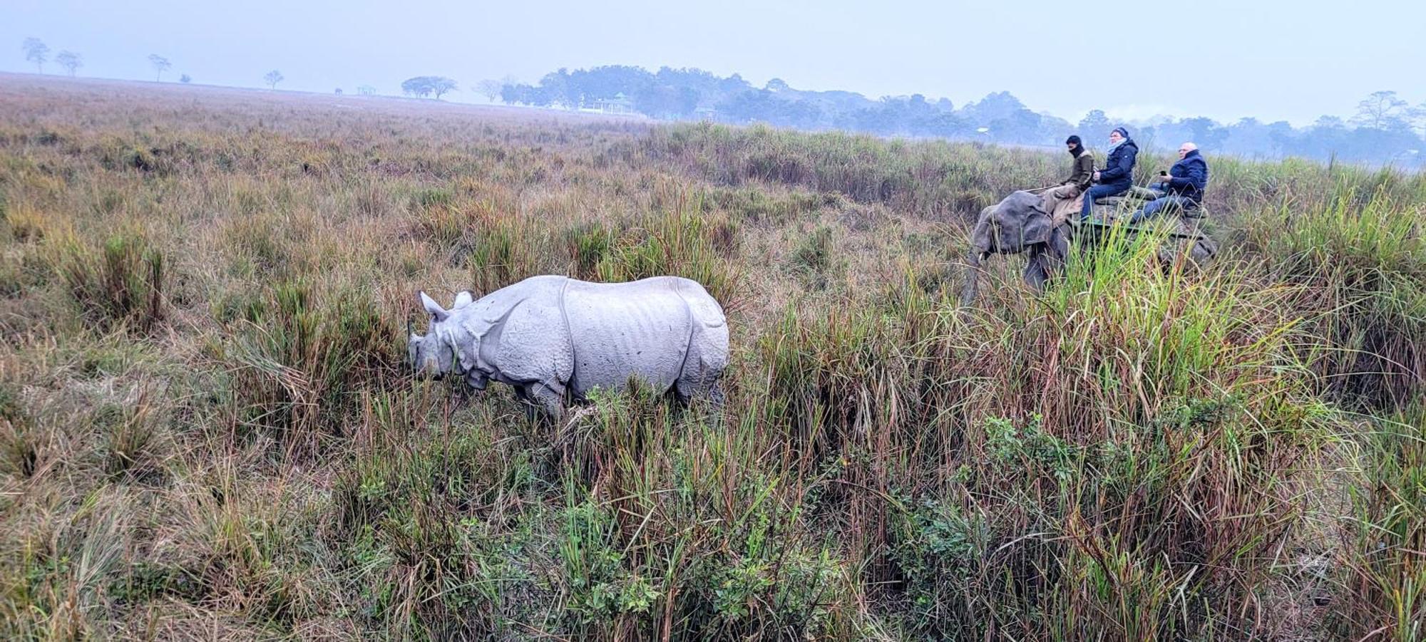 Tranquil Bambusic Bliss Villa Kaziranga Ngoại thất bức ảnh