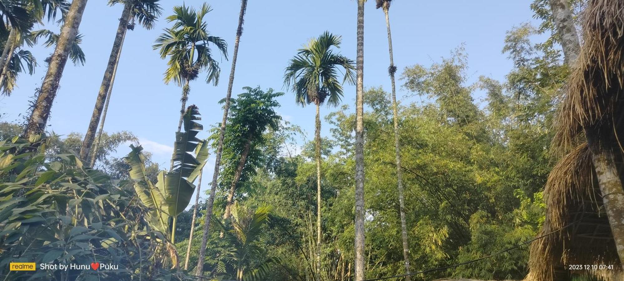 Tranquil Bambusic Bliss Villa Kaziranga Ngoại thất bức ảnh