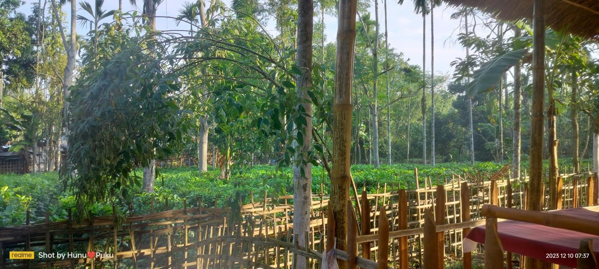 Tranquil Bambusic Bliss Villa Kaziranga Ngoại thất bức ảnh