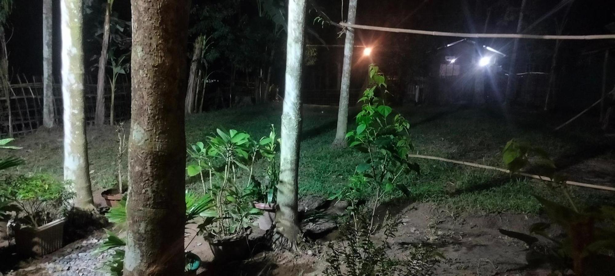 Tranquil Bambusic Bliss Villa Kaziranga Ngoại thất bức ảnh